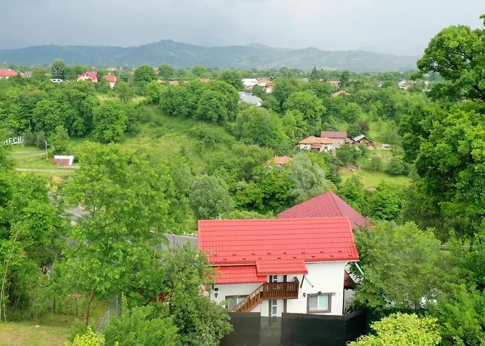 Stejarul Lui Andrei