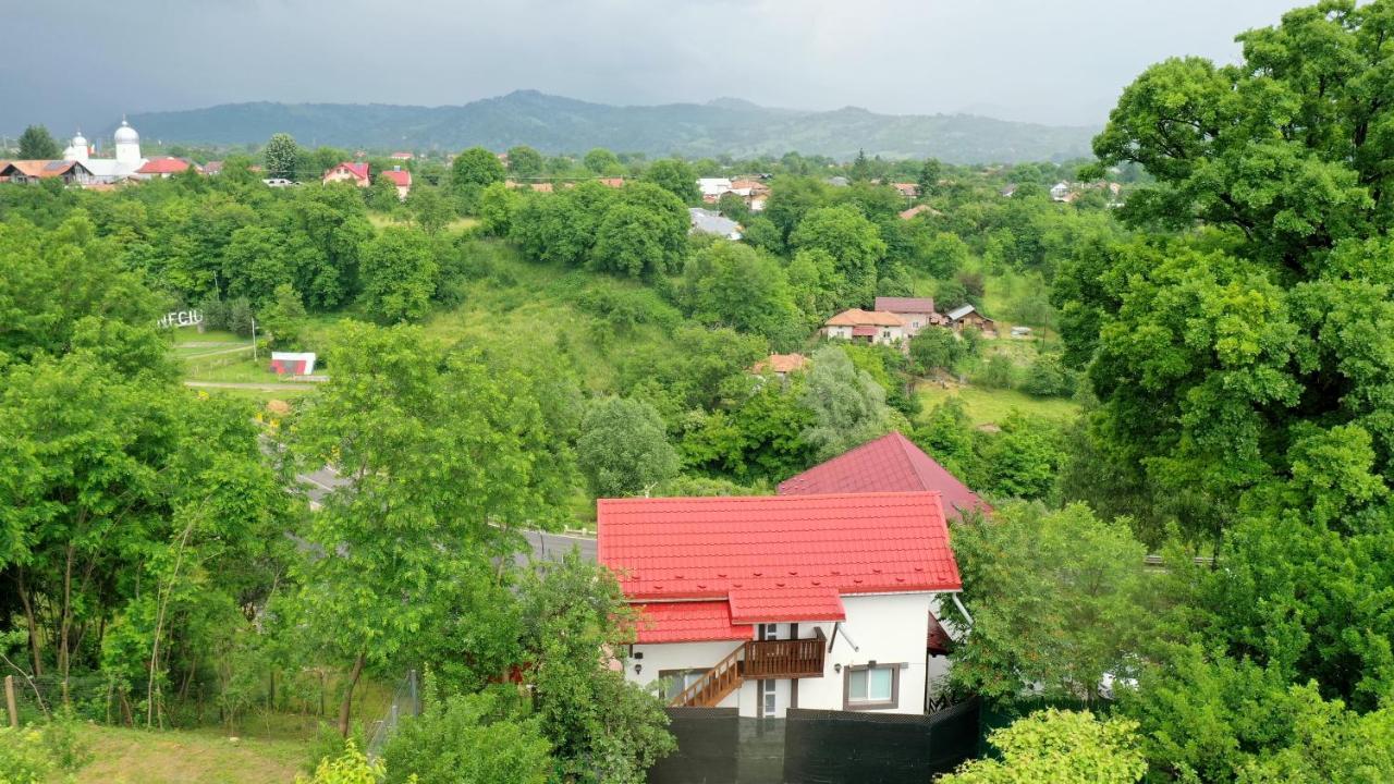 Stejarul Lui Andrei בית הארחה Izvoarele (Prahova)